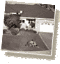 First Mortgage Adjustable