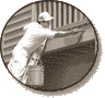 Home Improvement Loan